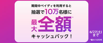 Paidキャッシュバックキャンペーン