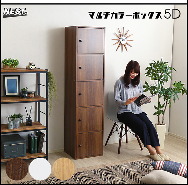 マルチカラーボックス5D