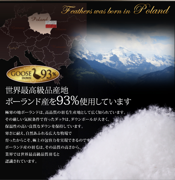 機能・特徴