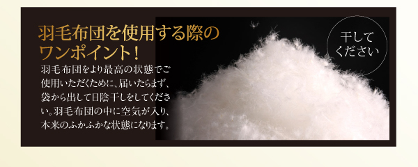 機能・特徴