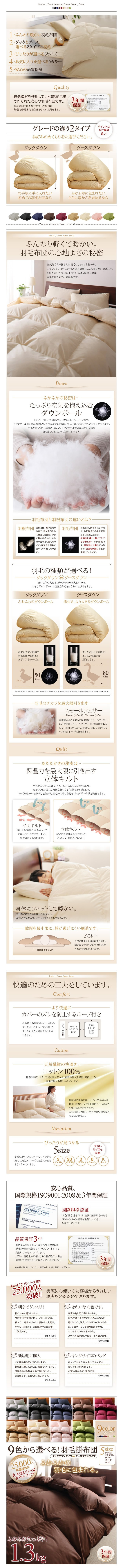 特徴