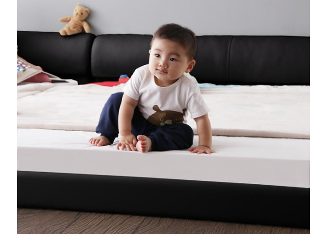 安心のロータイプ