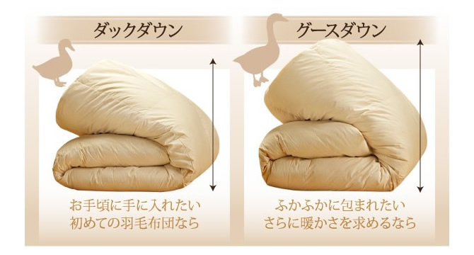 タイプの違い