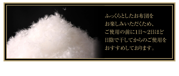 機能・特徴