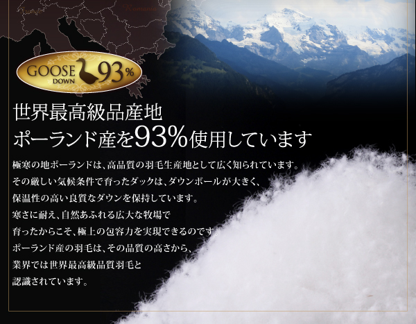 機能・特徴