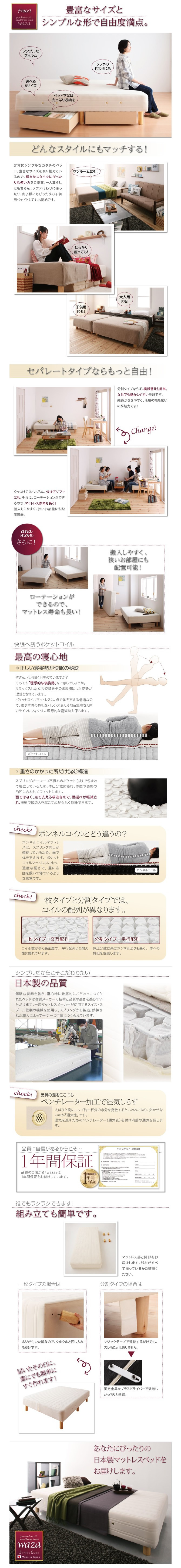 特徴