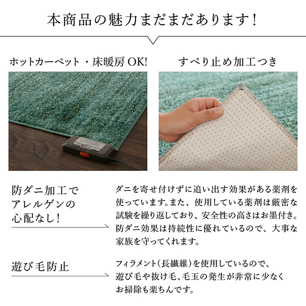 ホットカーペットＯＫ・滑り止め加工付き