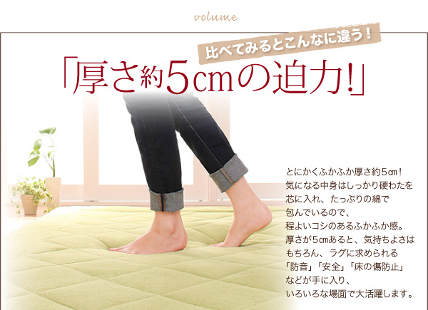 厚さ約5cmの迫力
