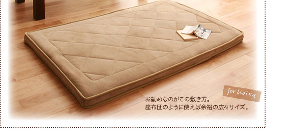小さいサイズは座布団にも