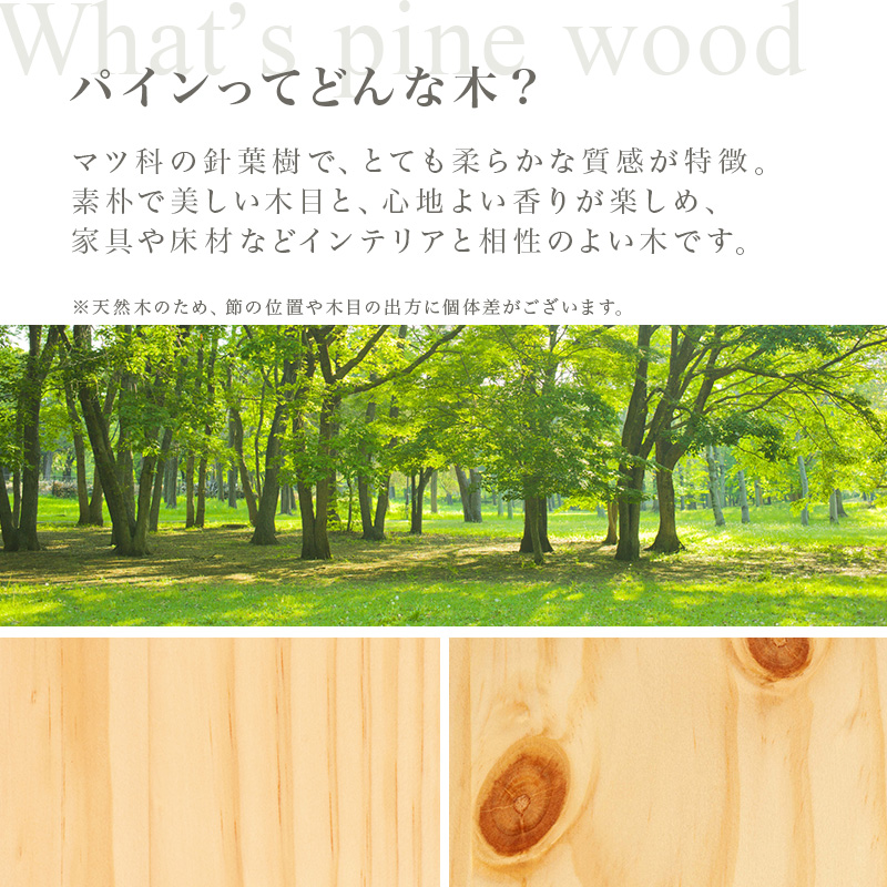 パイン材ってどんな木？