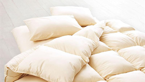 20色羽根布団8点セット 和タイプ