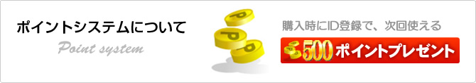 ポイントシステムについて