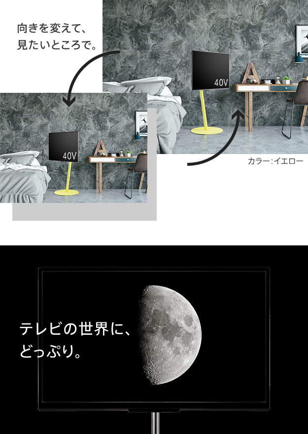 テレビの世界にどっぷり