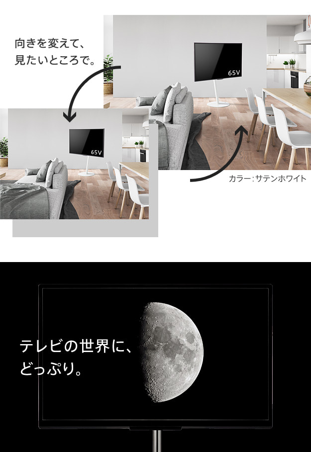 テレビの世界にどっぷり
