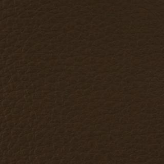 ブラウン生地（レザー）　アップ