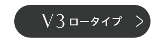 V3ロータイプ