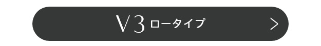 V3ロータイプ