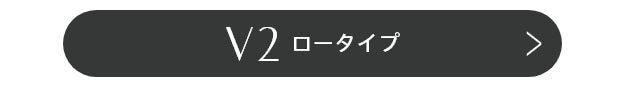 V2ロータイプ