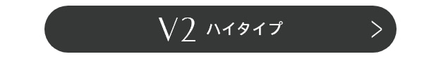 V2ハイタイプ