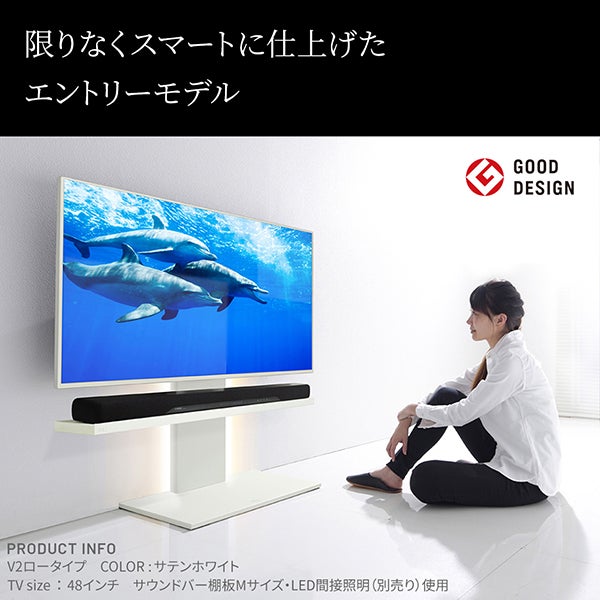 グッドデザイン賞受賞】 WALLインテリアテレビスタンド V2 ロータイプ