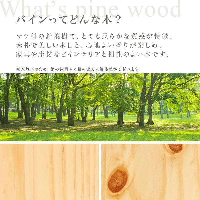 パイン材ってどんな木？